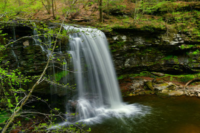 PA - Ricketts Glen SP Harrison Wright Falls.jpg