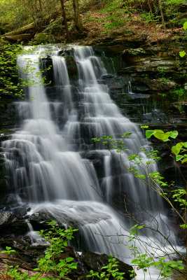 PA - Ricketts Glen SP Tuscarora Falls 1.jpg