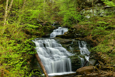 PA - Ricketts Glen SP Tuscarora Falls 2.jpg