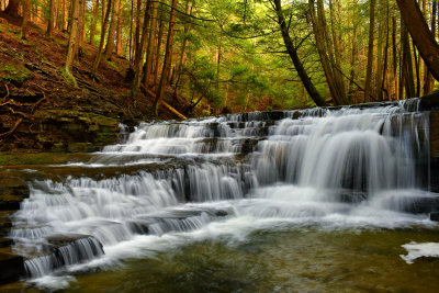 PA - Salt Springs State Park Waterfall 2.jpg