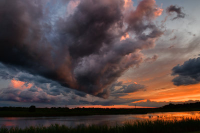 NY - Alabama Swamps Sunset Over Swamp 1.jpg