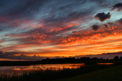 NY - Alabama Swamps Sunset Over Swamp 2.jpg