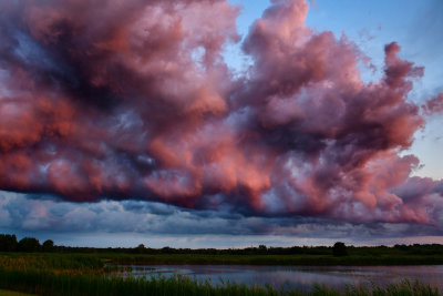 NY - Alabama Swamps Sunset Over Swamp 3.jpg