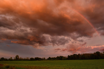 NY - Alabama Swamps Sunset Rainbow Over Bean Field.jpg