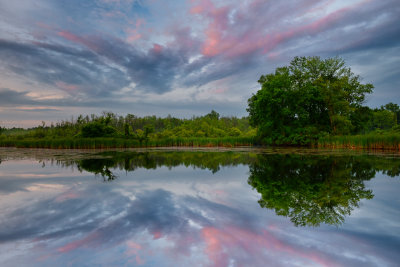 NY - Alabama Swamps Sunset Reflection 1.jpg