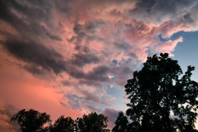 NY - Alabama Swamps Sunset Sky Tree Silhouette 1.jpg
