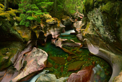 MT - Glacier NP Avalanche Creek Gorge 1.jpg
