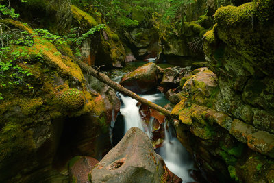 MT - Glacier NP Avalanche Creek Gorge 2.jpg