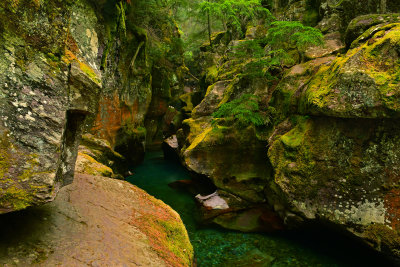 MT - Glacier NP Avalanche Creek Gorge 3.jpg