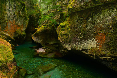 MT - Glacier NP Avalanche Creek Gorge 4.jpg