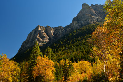 MT - Glacier NP Fall Peak 1.jpg
