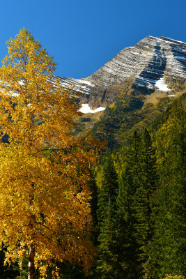 MT - Glacier NP Fall Peak 3.jpg