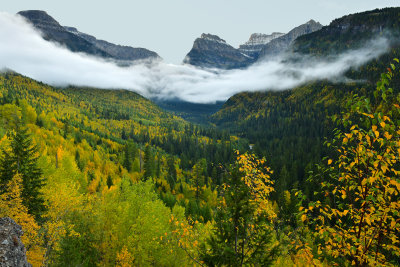 MT - Glacier NP Fall Vista Foggy 1.jpg