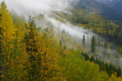 MT - Glacier NP Fall Vista Foggy 2.jpg