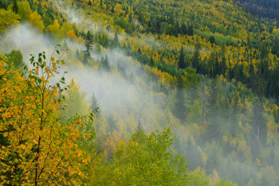 MT - Glacier NP Fall Vista Foggy 3.jpg