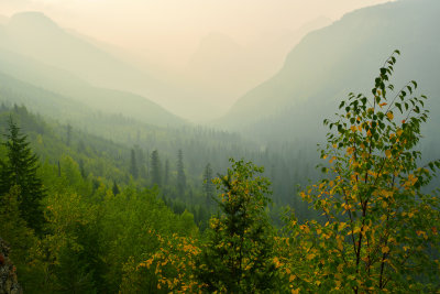 MT - Glacier NP Fall Vista Smokey.jpg