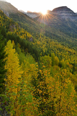 MT - Glacier NP Fall Vista Sunflare.jpg