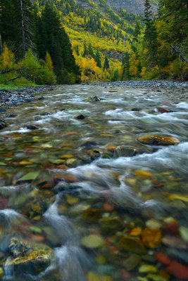 MT - Glacier NP McDonald Creek 6.jpg