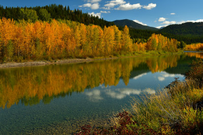 MT - Glacier NP Middle Fork Flathead River 1.jpg