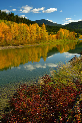 MT - Glacier NP Middle Fork Flathead River 2.jpg