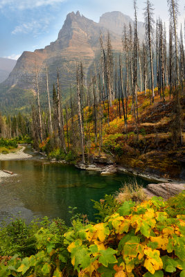 MT - Glacier NP St Mary River Fall Colors.jpg