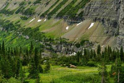 MT - Glacier NP Summer Peaks 2.jpg