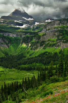 MT - Glacier NP Summer Peaks 4.jpg