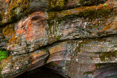 MT - Glacier NP Sunrift Gorge Lichen Wall 1.jpg