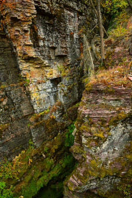MT - Glacier NP Sunrift Gorge Lichen Wall 3.jpg