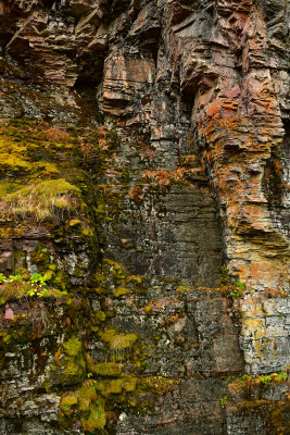 MT - Glacier NP Sunrift Gorge Lichen Wall 4.jpg