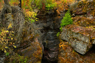 MT - Glacier NP Sunrift Gorge Lichen Wall 5.jpg