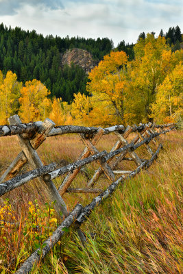 WY - Grand Tetons NP Fall Colors & Fence 2.jpg
