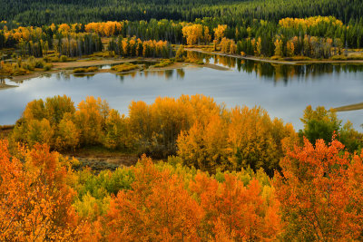 WY - Grand Tetons NP Oxbow Bend Snake River Fall Colors 1.jpg