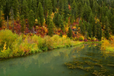 WY - Snake River Canyon Pond Fall Colors 1.jpg