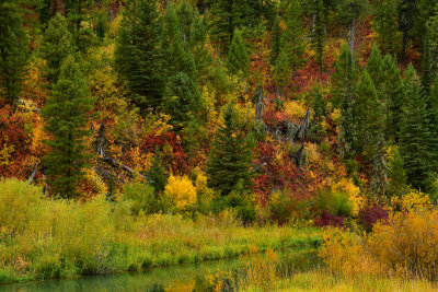 WY - Snake River Canyon Pond Fall Colors 2.jpg
