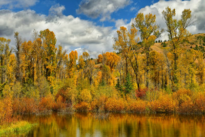 WY - Snake River Canyon Pond Fall Colors 5.jpg