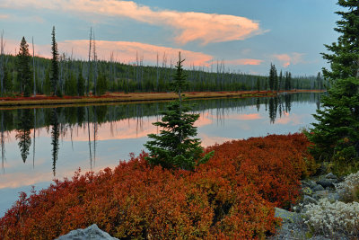 WY - Yellowstone NP Lewis River Reflection 2.jpg