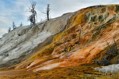 WY - Yellowstone NP Palette Spring 2.jpg