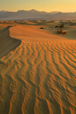 CA - Death Valley NP Mesquite Flat Dunes 4.jpg