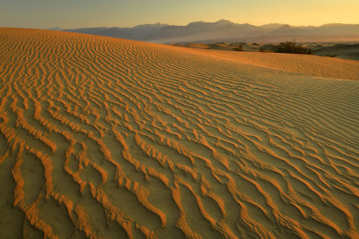 CA - Death Valley NP Mesquite Flat Dunes 5.jpg