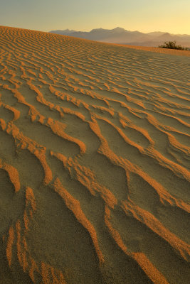 CA - Death Valley NP Mesquite Flat Dunes 6.jpg