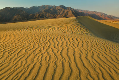 CA - Death Valley NP Mesquite Flat Dunes 8.jpg
