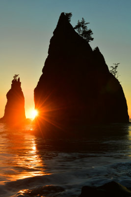 WA - Olympic National Park Rialto Beach 1.jpg
