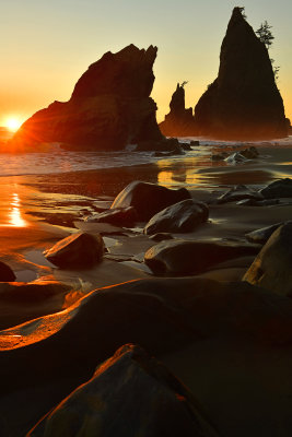 WA - Olympic National Park Rialto Beach 2.jpg