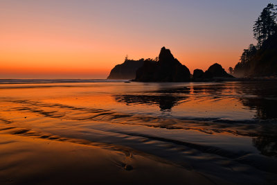 WA - Olympic National Park Ruby Beach 3.jpg