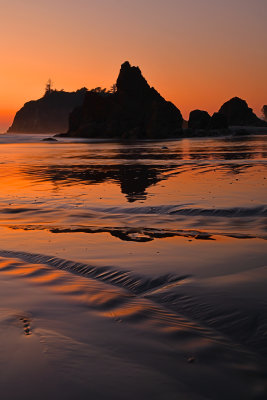 WA - Olympic National Park Ruby Beach 4.jpg