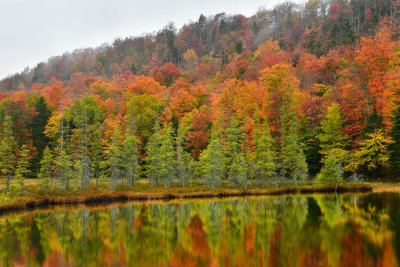 NY - Adirondacks Fall Pond 3.jpg