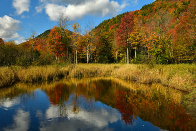 NY - Adirondacks Fall Pond 4.jpg