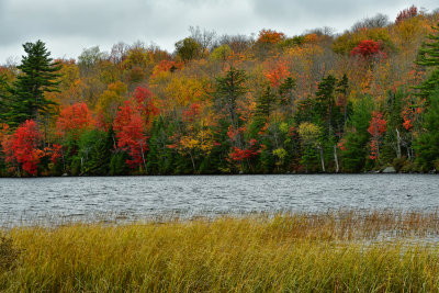 NY - Adirondacks Horseshoe Lake.jpg