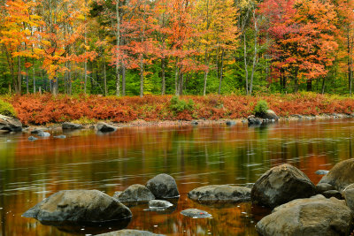 NY - Adirondacks Moose River 4.jpg